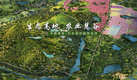 中國高安.巴夫洛田園綜合體產(chǎn)業(yè)策劃