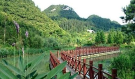 汕尾市陸河縣林中花溪農(nóng)業(yè)綜合開發(fā)田園綜合體項(xiàng)目