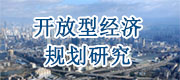 開放型經(jīng)濟規(guī)劃研究