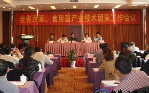 浙江磐安縣加速食用菌產業轉型升級會議