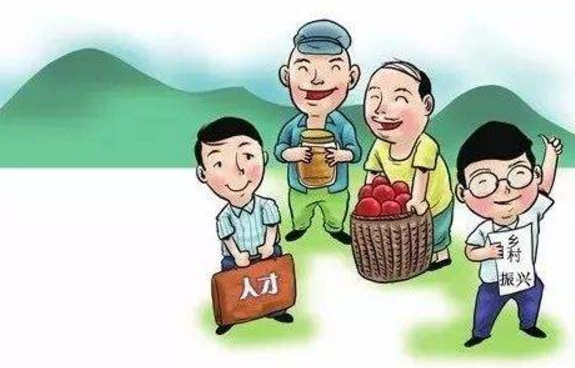 鄉(xiāng)村振興下人才隊(duì)伍建設(shè)方案