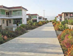 新農(nóng)村建設(shè)規(guī)劃
