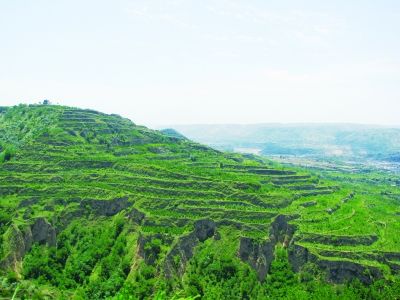 鼓勵引導(dǎo)貧困農(nóng)民利用當(dāng)?shù)厣鷳B(tài)資源大力發(fā)展林業(yè)特色產(chǎn)業(yè)