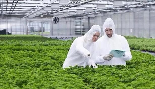  2018年農業綜合開發的扶持方式有哪些？申報條件有哪些？