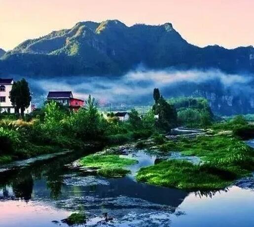鄉(xiāng)村振興的實踐者和推動力量——農(nóng)業(yè)企業(yè)