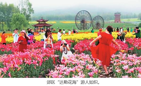 佳木斯市出臺《郊區實施鄉村振興戰略三年(2018—2020年)行動方案》