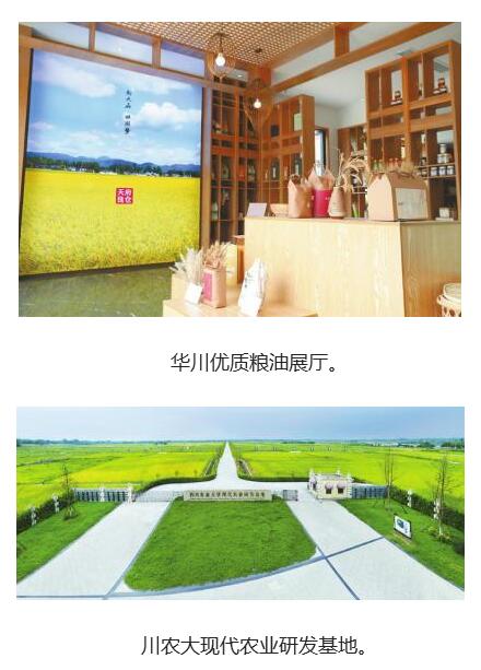 崇州鄉(xiāng)村振興發(fā)展