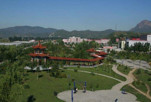 天津寧河區(qū)振興鄉(xiāng)村戰(zhàn)略重要舉措：大力發(fā)展農村電商
