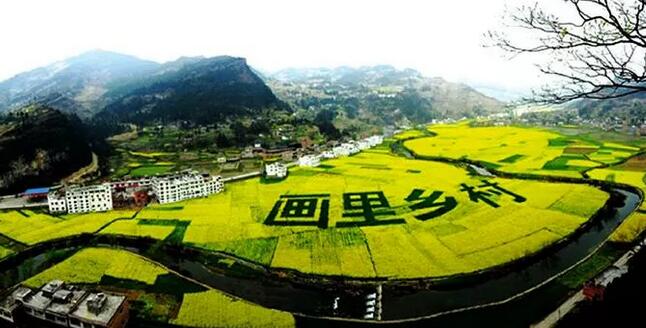 鄉(xiāng)村振興之土地政策梳理：32種農(nóng)業(yè)項(xiàng)目用地解決方案