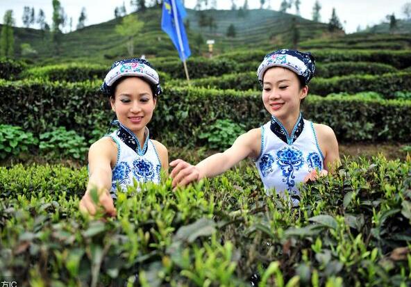 鄉(xiāng)村振興：發(fā)展現(xiàn)代全產(chǎn)業(yè)生態(tài)農(nóng)業(yè)面臨哪些問(wèn)題?