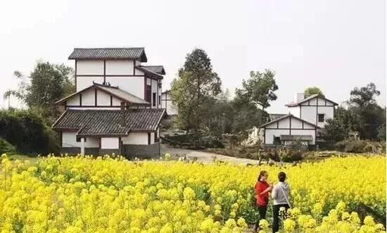 《政府工作報告》：大力實施鄉村振興戰略，國務院分工明確