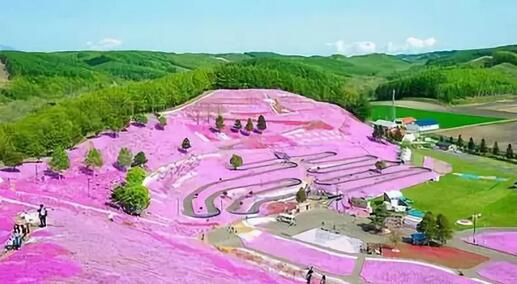 農業休閑項目開發的關鍵有兩個落點(親子、工作)