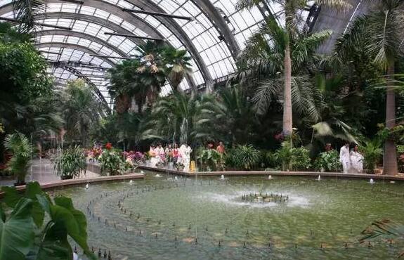 天津市西青區熱帶植物觀光園