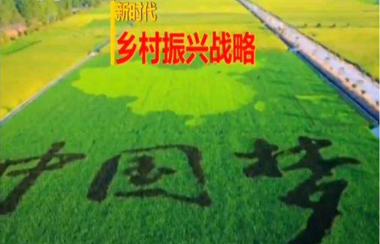 四方面談鄉村振興戰略到底要怎么做？