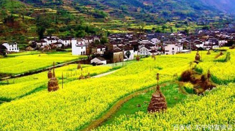 中機院:互聯(lián)網(wǎng)極有希望成為鄉(xiāng)村振興的“活水之源”