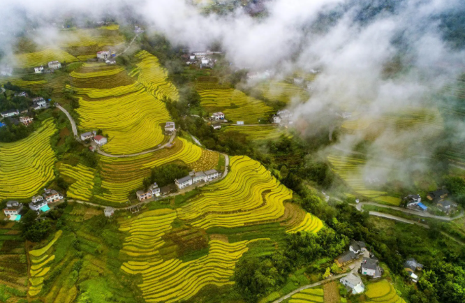 陜西嵐皋縣現(xiàn)代農(nóng)業(yè)園區(qū)發(fā)展現(xiàn)狀及對(duì)策