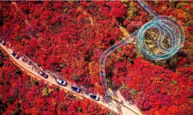 鄉村振興規劃案例：山東博山創意導入現代業態，規劃設計提升土地價值