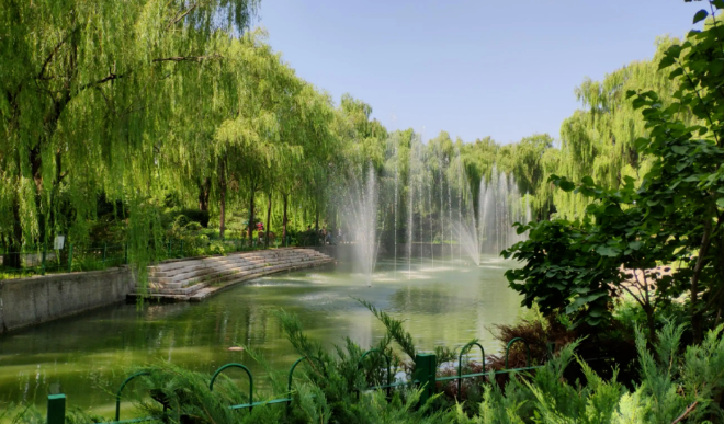 東壩郊野公園露營(yíng)地