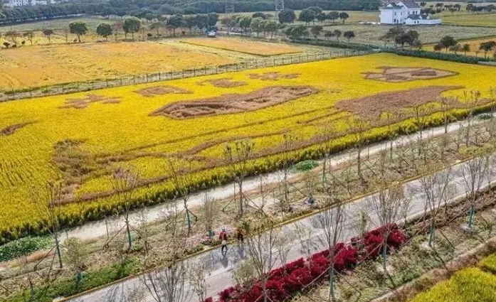 現代農業產業園區雙碳轉型的實施路徑及案例分析