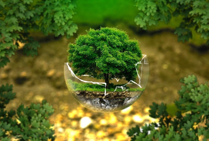 2025年中央預(yù)算內(nèi)投資專項(xiàng)補(bǔ)貼——綠色低碳先進(jìn)技術(shù)示范項(xiàng)目