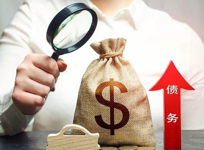 近十年(2015—2024年)專項(xiàng)債申報(bào)成功率分析及提高通過率的策略建議 近十年(2015—2024年)專項(xiàng)債申報(bào)成功率分析及提高通過率的策略建議