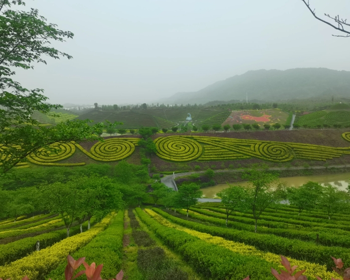 鄉(xiāng)村振興背景下茶鄉(xiāng)旅游產(chǎn)業(yè)發(fā)展路徑探析 鄉(xiāng)村振興背景下茶鄉(xiāng)旅游產(chǎn)業(yè)發(fā)展路徑探析
