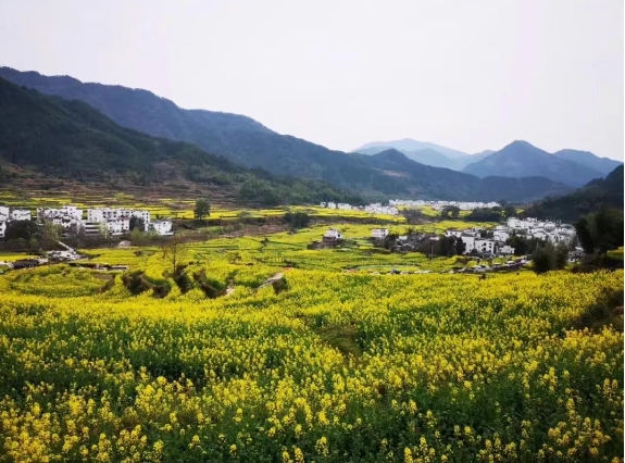 鄉村旅游、文化綜合體，開發模式與運營方向
